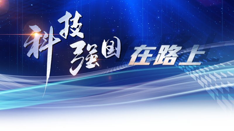 餐饮小程序外包开发的成本考量：如何理性评估**