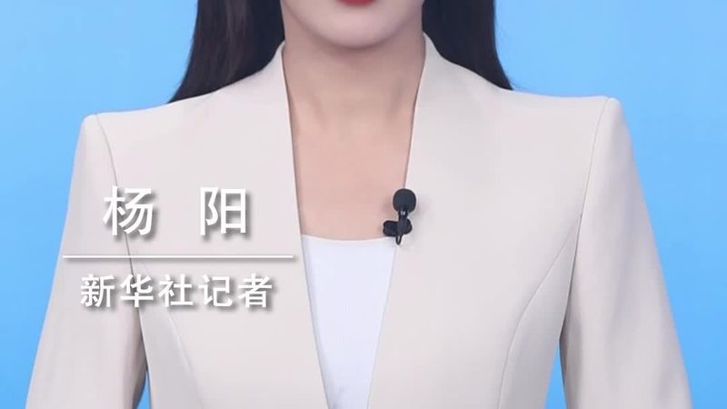 互联网技术基础教程，选对入门路径比埋头苦学更重要